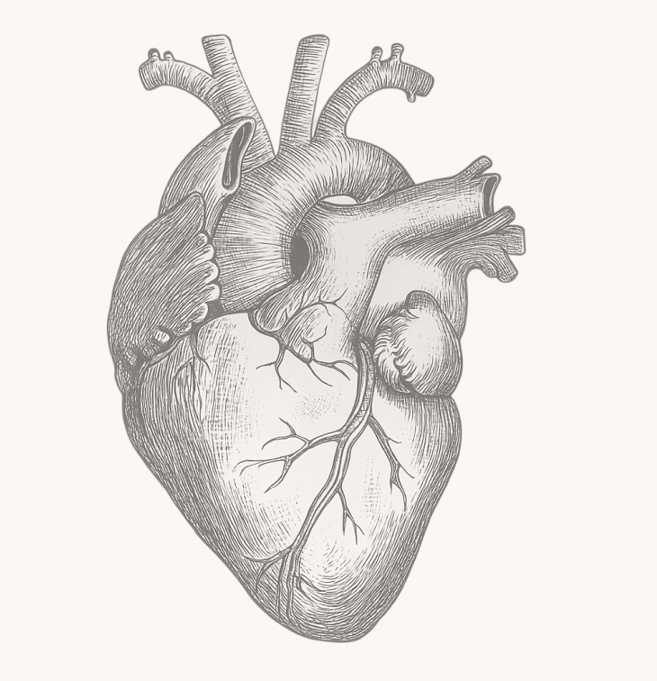 cardioforme-accueil-soutient-mission