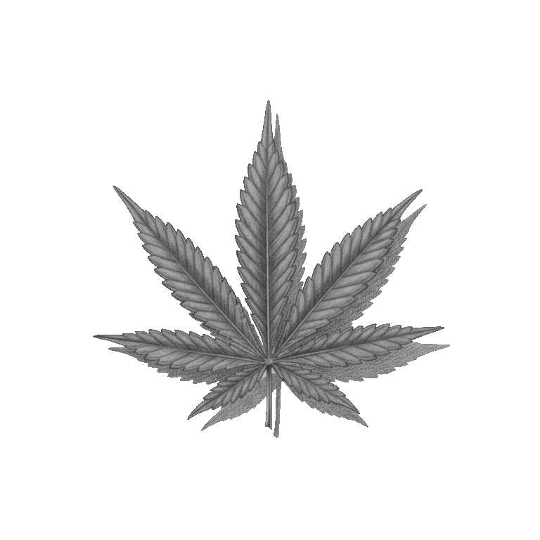 canabis-legal-pas-banal