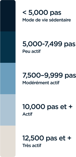 cardioforme-echelle