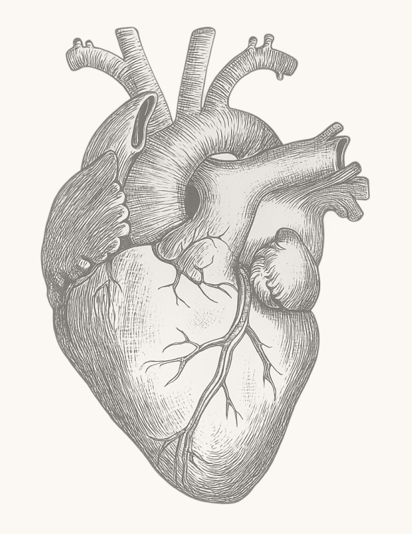 Comprendre l_hypertension